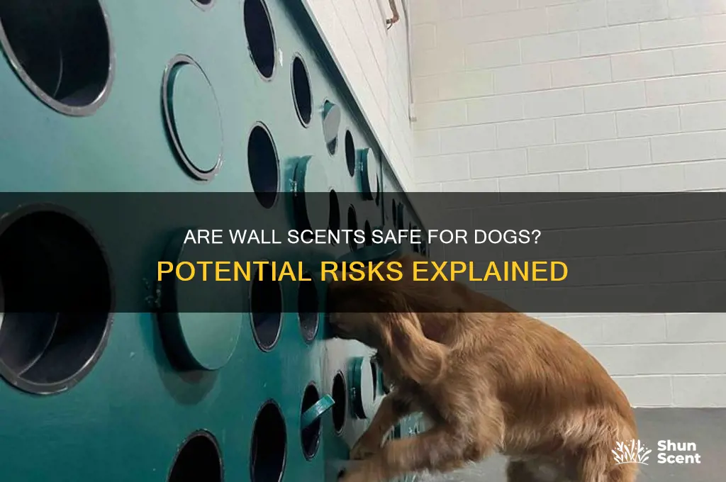 are wall scents bad for dogs