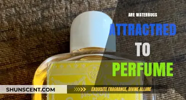 How Perfume Attracts Waterbugs and Other Pests