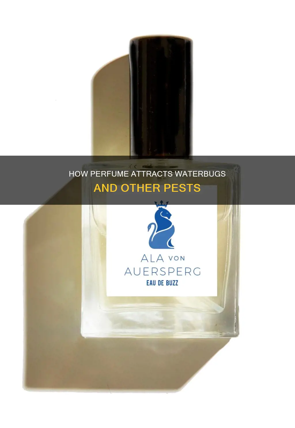 are waterbugs attractred to perfume