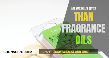 Wax Melts vs Fragrance Oils: Which Scents Your Space Better?