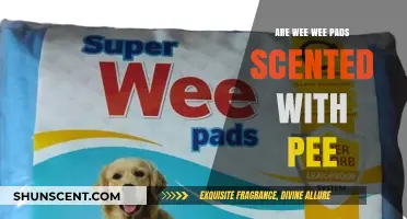 Do Wee Wee Pads Smell Like Pee? Uncovering the Scent Truth