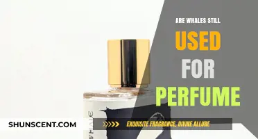 The Dark History of Whale-Sourced Perfume