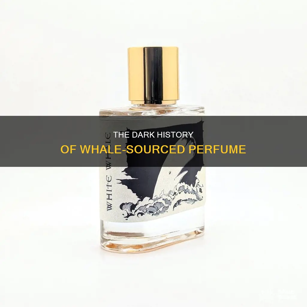 are whales still used for perfume