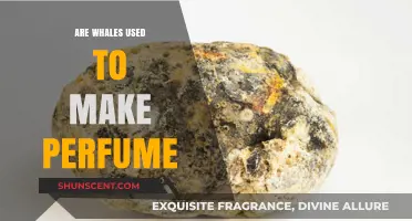 The Secret of Whale-Based Perfumes