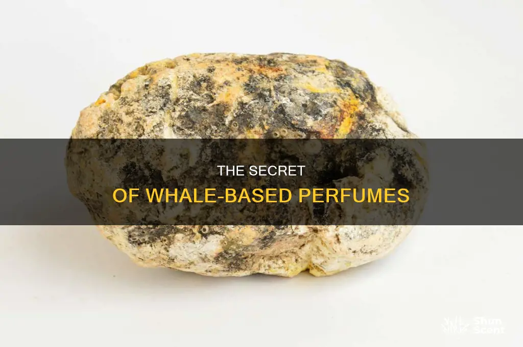 are whales used to make perfume
