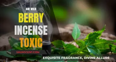 Incense Hazards: Are Wild Berries Toxic to Your Health?