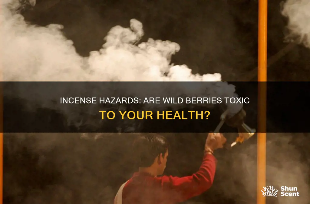 are wild berry incense toxic