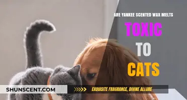 Are Yankee Scented Wax Melts Safe for Cats?