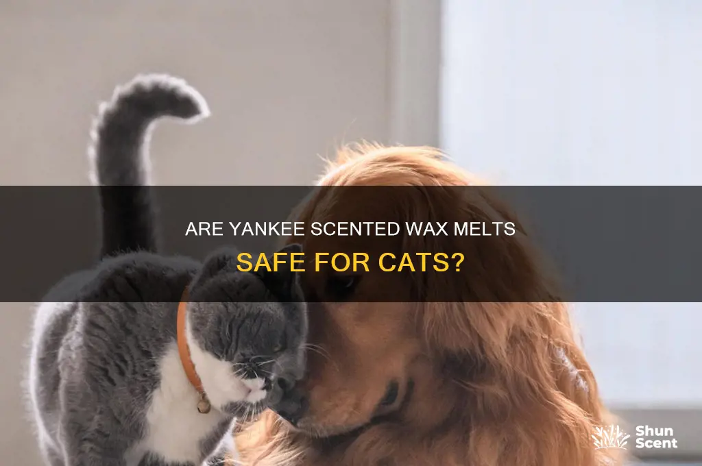 are yankee scented wax melts toxic to cats