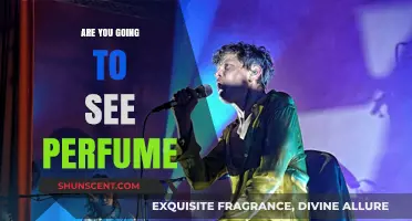 Perfume: Should You Go See Them Live?