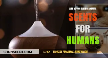 Are Young Living Animal Scents Safe for Human Use?