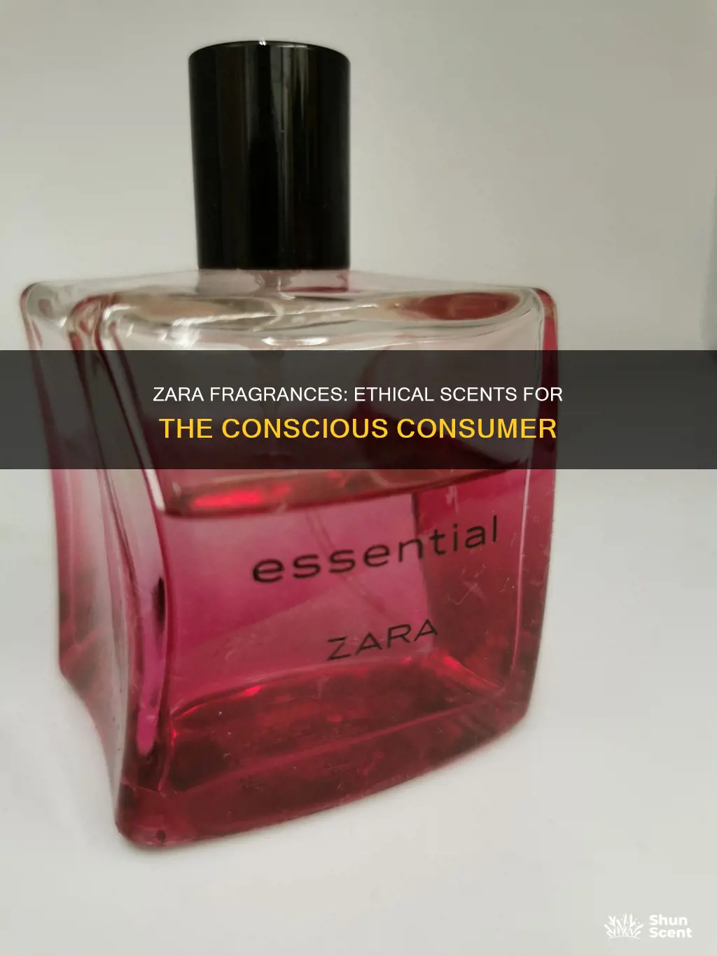 are zara fragrances cruelty free