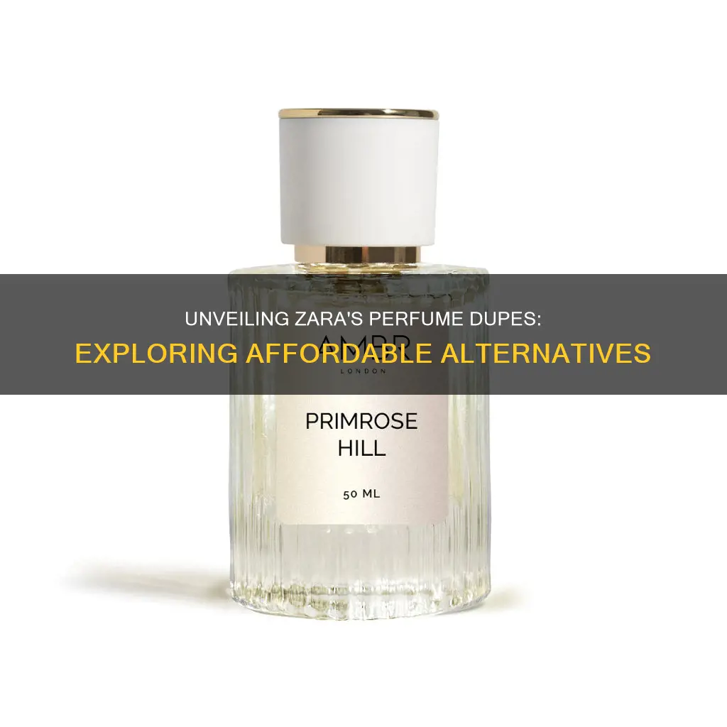 are zara perfume dupes