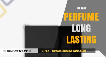 Zara Perfumes: Long-lasting Scents on a Budget