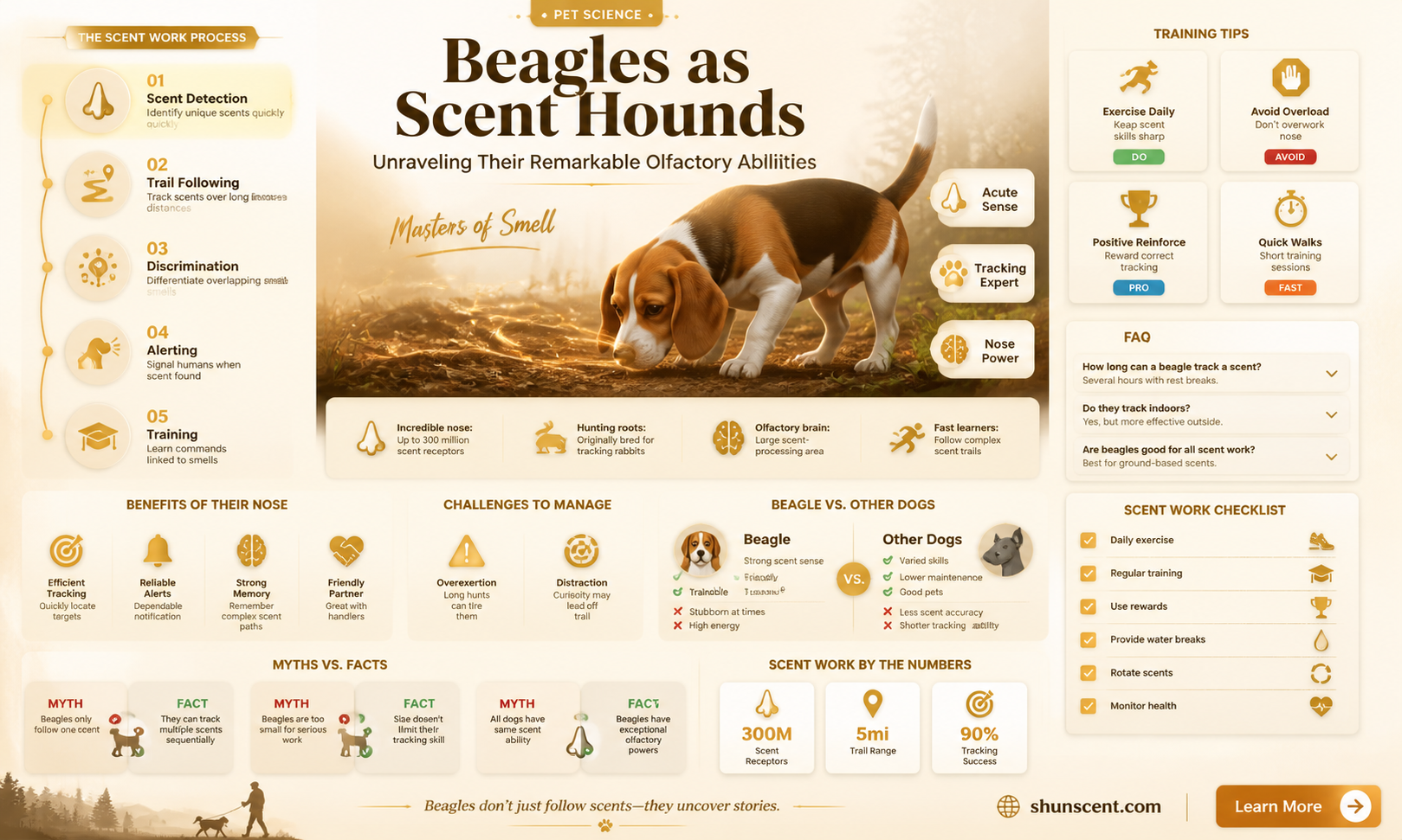 are beagles scent hounds