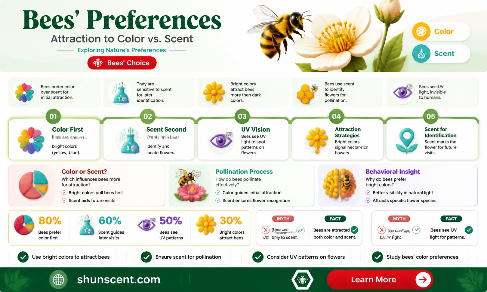 are bees attracted to color or scent