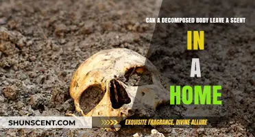 Lingering Odors: Can Decomposed Bodies Leave Scents in Homes?