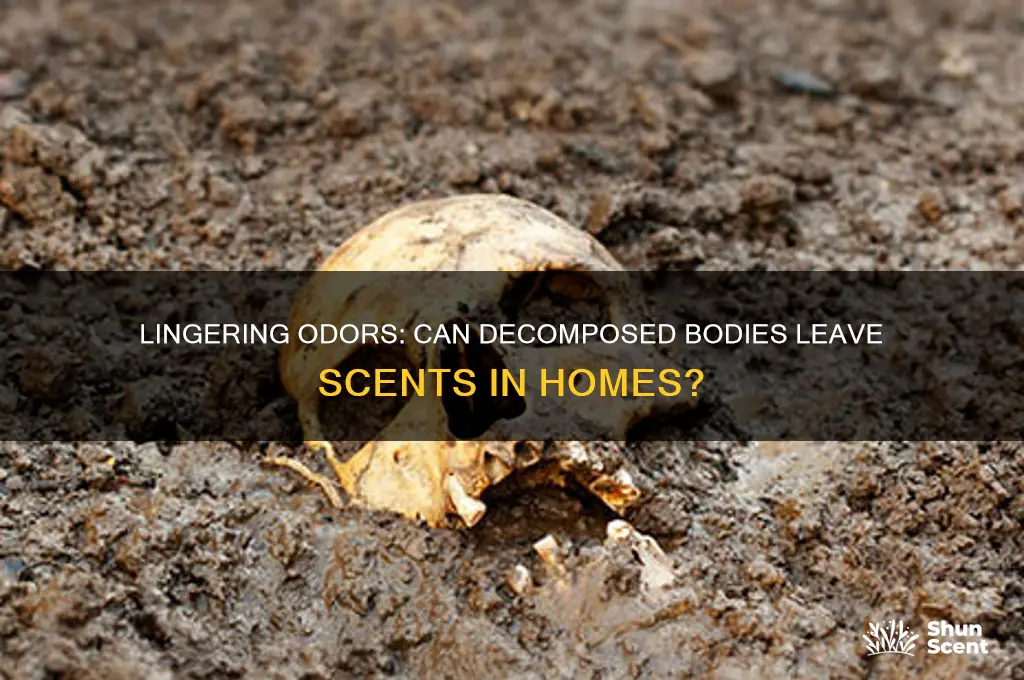 can a decomposed body leave a scent in a home