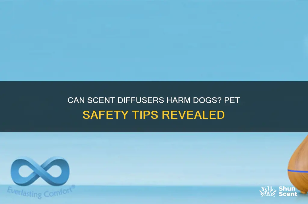can a dog be poisoned by a scent diffuser