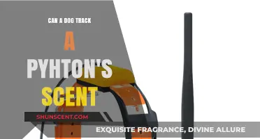Can Dogs Detect Python Scents? Unraveling Canine Tracking Abilities