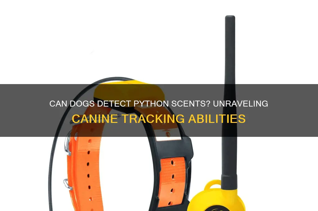 can a dog track a pyhton