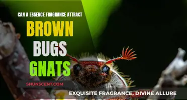 Essence Fragrance: Bug and Gnat Magnet?