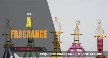 The Fragrance Effect: How Scents Can Transform Your Mood