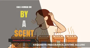 Deadly Aromas: Can a Scent Actually Kill a Human?