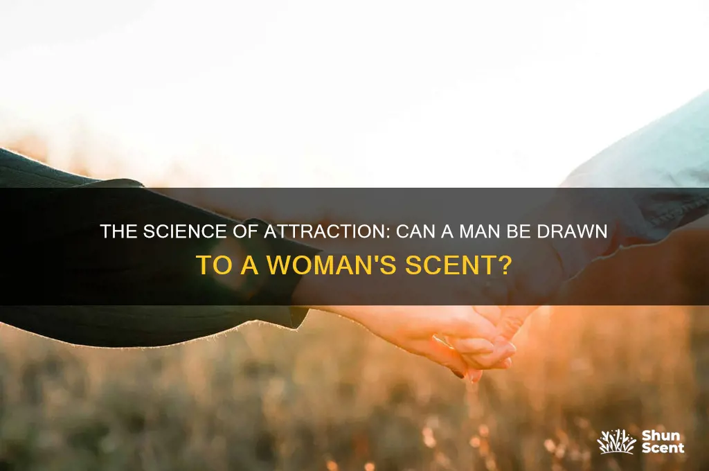 can a man be attracted to a woman