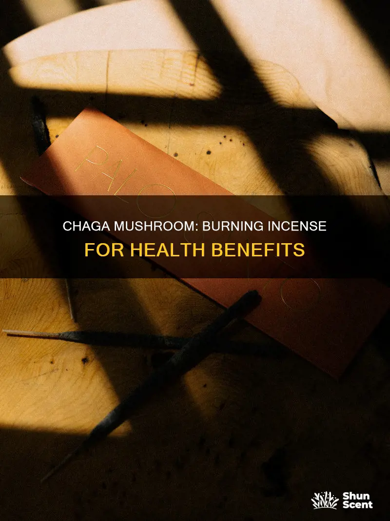 can a person burn chaga mushroom as a incense