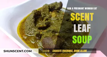 Pregnancy and Scent Leaf Soup: Safe or Risky? Expert Insights