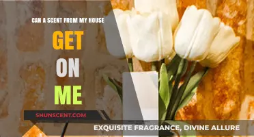 Can Household Scents Stick to You? Exploring the Science Behind It