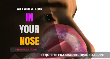Can a Scent Get Stuck in Your Nose? Unraveling the Mystery