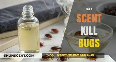 Can Certain Scents Kill Bugs? Exploring Nature's Pest Control Solutions