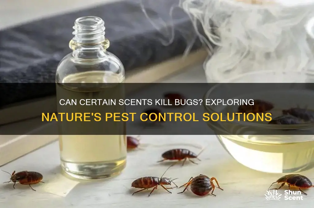 can a scent kill bugs