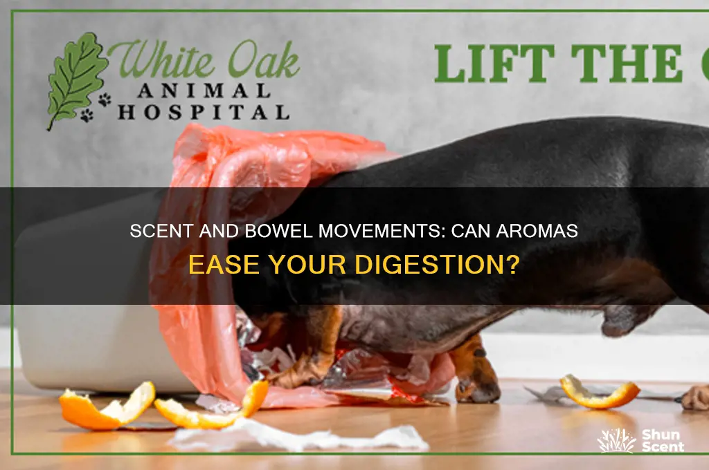 can a scent make it easier to defficate