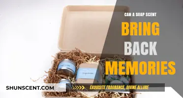 Scent of Nostalgia: How Soap Aromas Unlock Forgotten Memories
