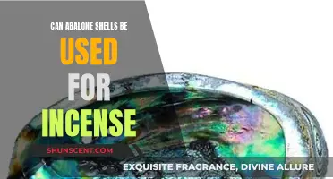 Abalone Shells: Incense Burners with a Natural Twist
