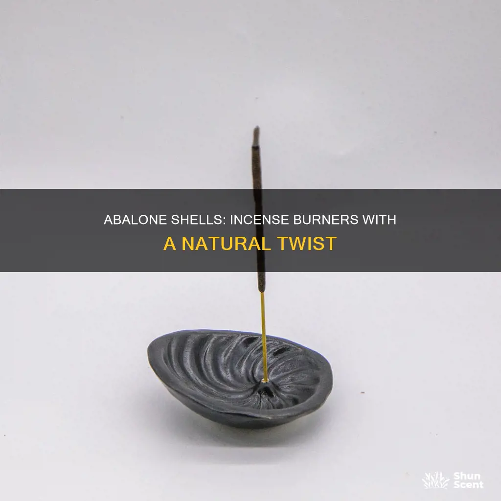 can abalone shells be used for incense