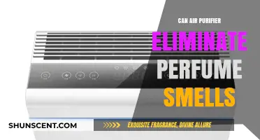 Air Purifiers: Can They Remove Perfume Scents?