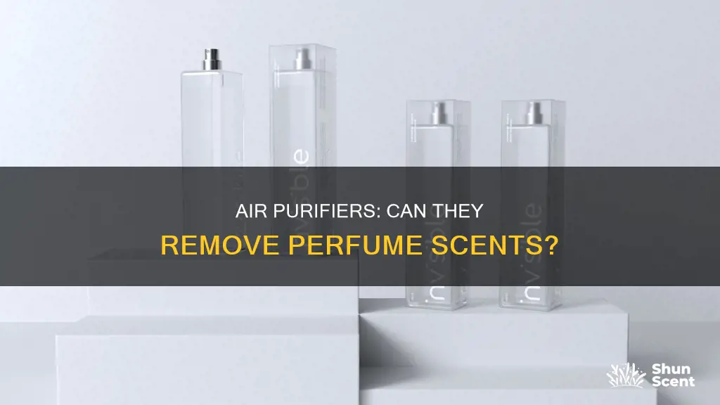can air purifier eliminate perfume smells