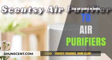 Enhance Your Air Purifier: Adding Scents for Fresh, Clean Air