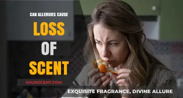 Can Allergies Lead to Loss of Smell? Exploring the Connection