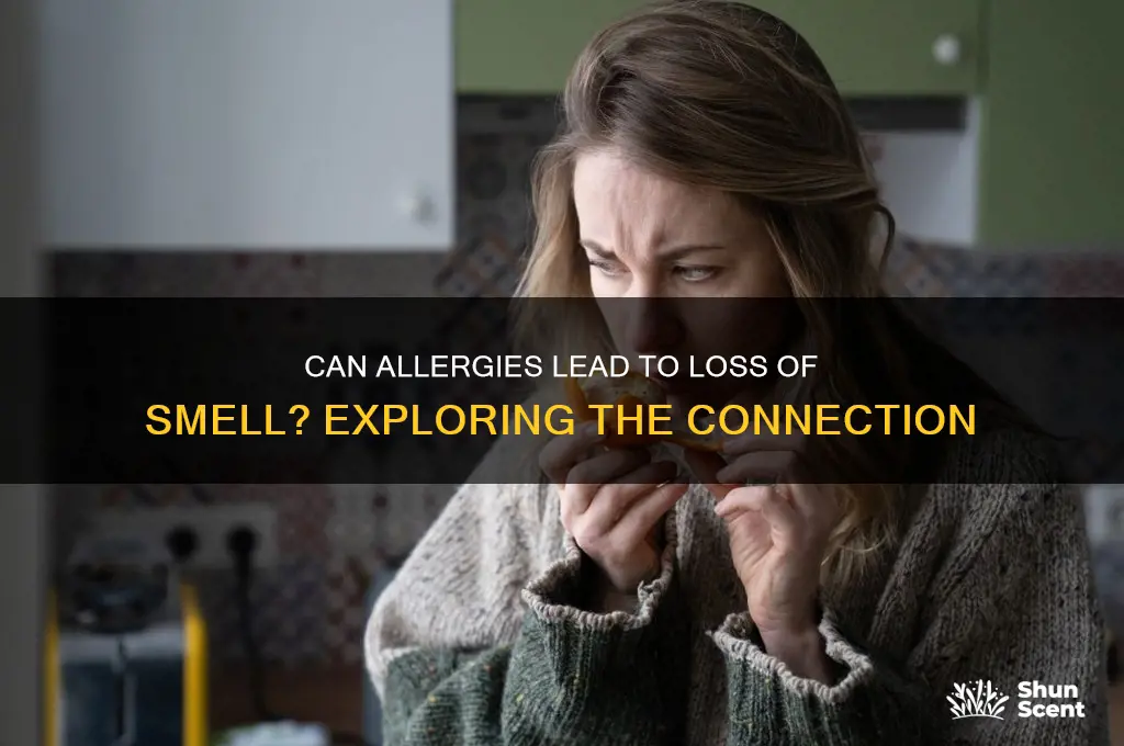 can allergies cause loss of scent