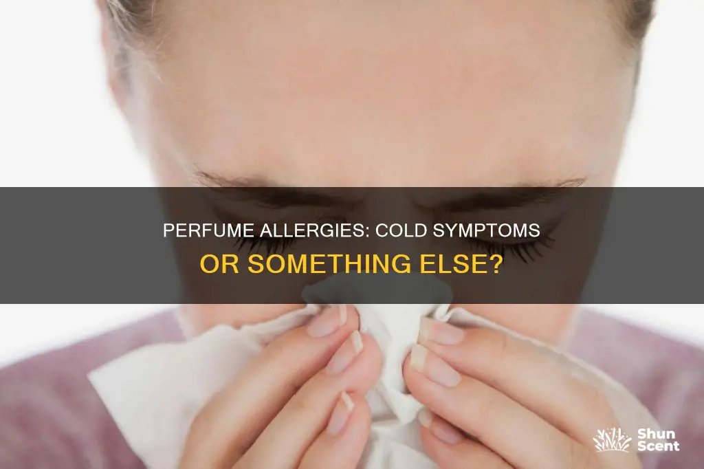 can allergy to perfumes cause cold symptoms