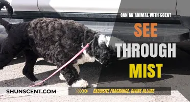 Can Scent-Driven Animals Navigate and See Through Mist Effectively?