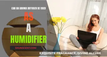 Aroma Diffusers: Humidifier Substitute or Not?