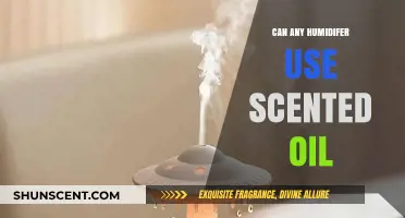 Can Any Humidifier Use Scented Oil? Essential Tips to Know