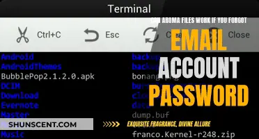 Unlocking Aroma Files: Forgot Your Email Password?