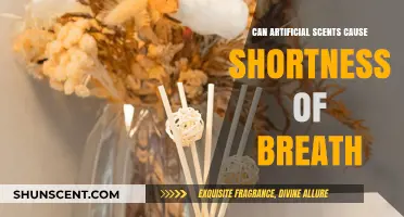 Artificial Scents and Breathing: Uncovering the Link to Shortness of Breath